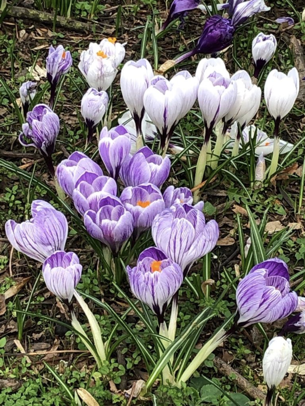 CleanShot 2020-02-23 at 09.43.30@2x